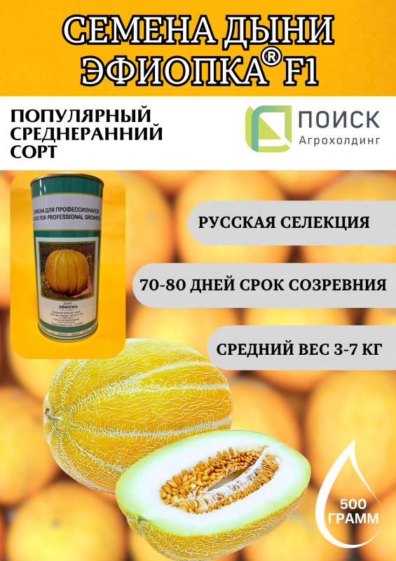 Эфиопка 500 грамм семена дыни