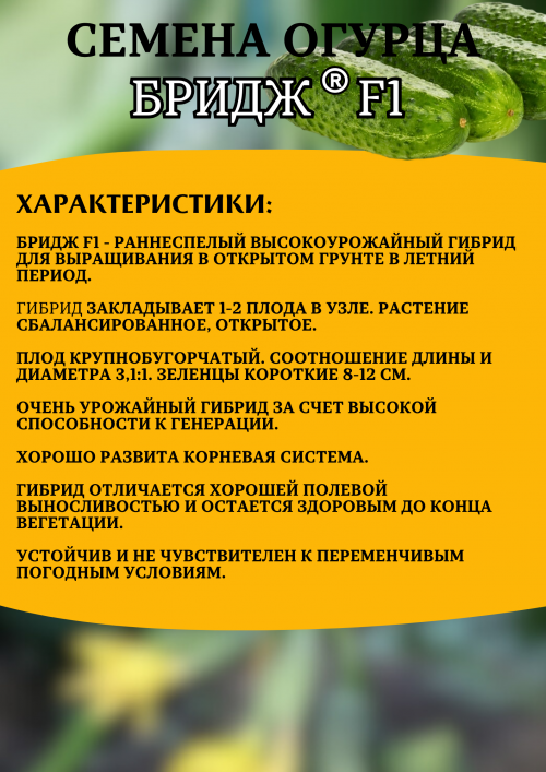 Бридж F1 семена огурца