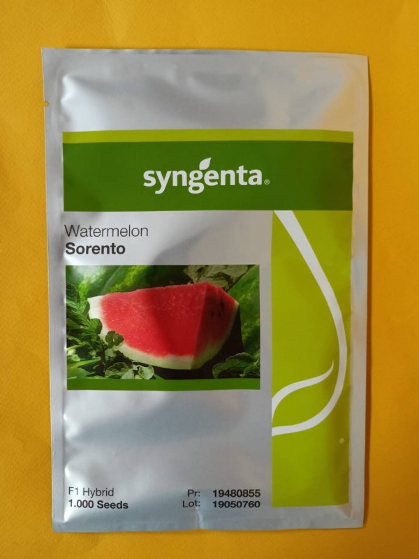 Соренто F1 1000 штук семена арбуза
