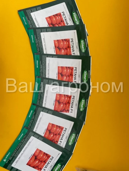 РЕТАНА F1 семена томата сливки