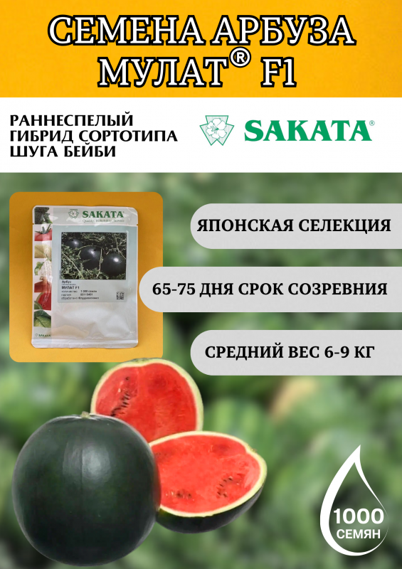 Мулат F1 семена арбуза