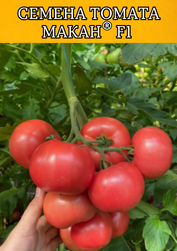 Макан F1 1000 штук семена розового томата