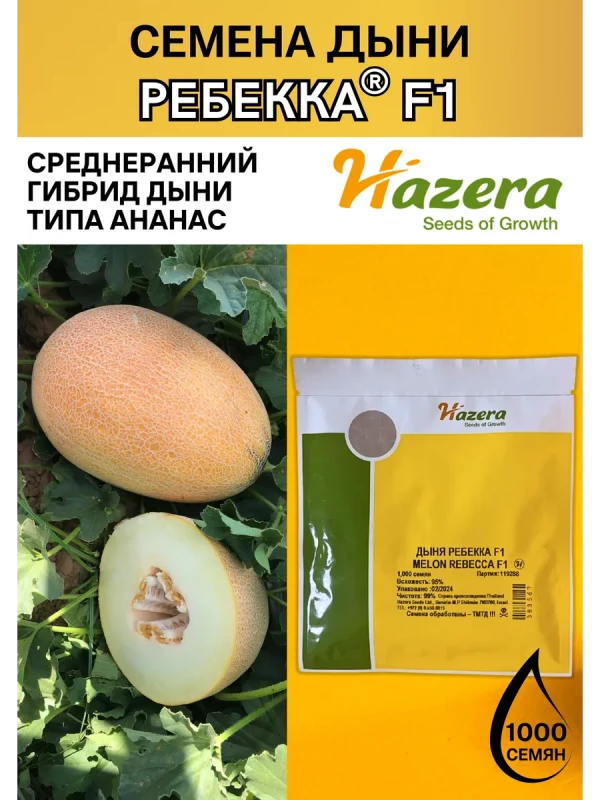 Ребекка F1 семена дыни