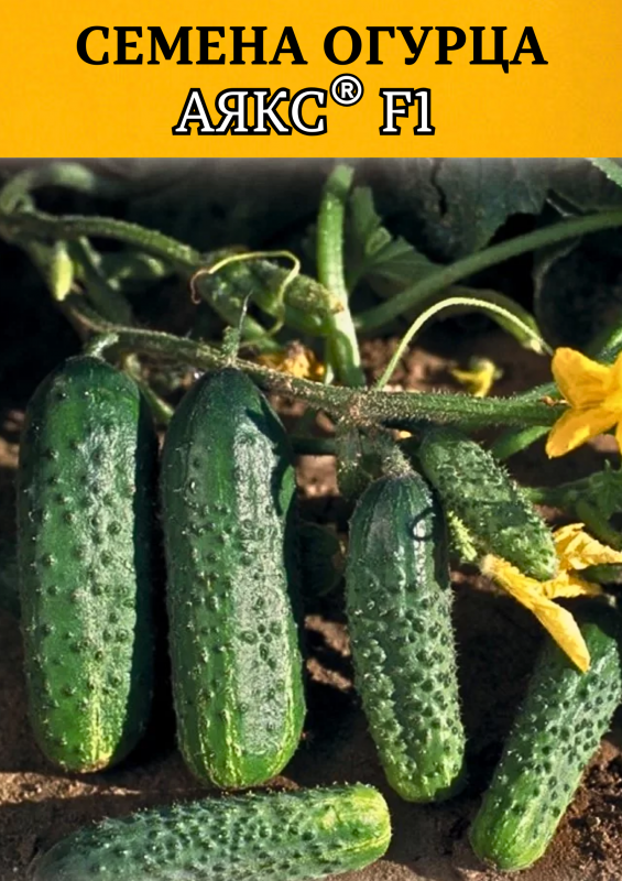 Аякс F1 1000 штук семена огурца