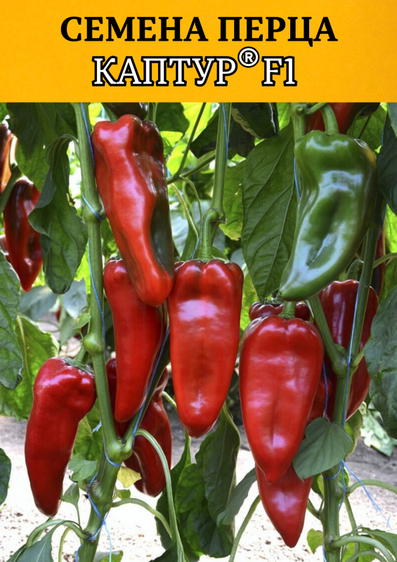 Каптур F1 семена сладкого перца КАПИЯ