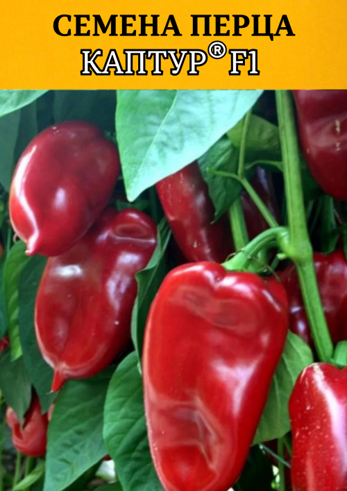 Каптур F1 семена сладкого перца КАПИЯ