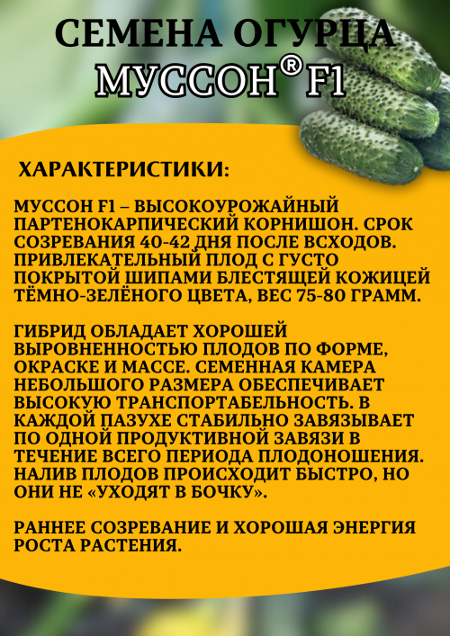 Муссон F1 семена огурца
