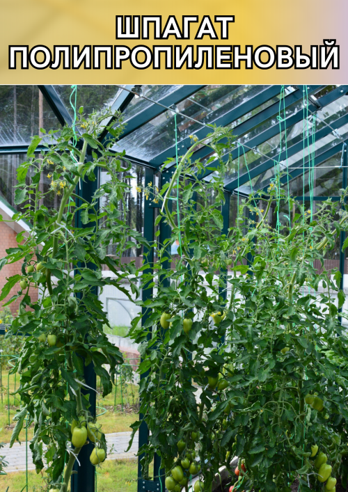 Шпагат для теплицы