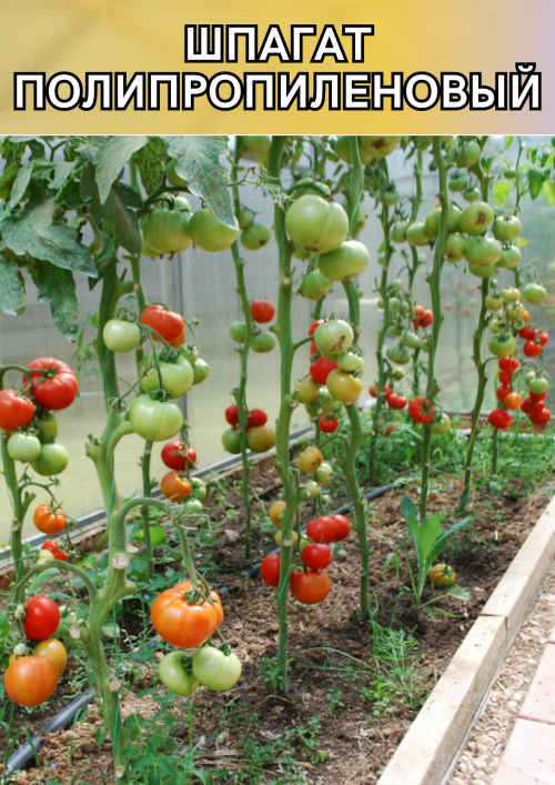 Шпагат для теплицы