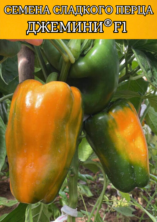 Джемини F1 семена перца сладкого