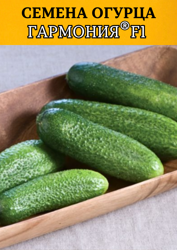 Гармония F1 семена огурца