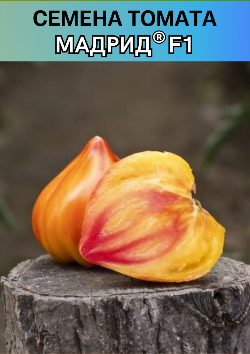 Мадрид F1 семена желтого томата