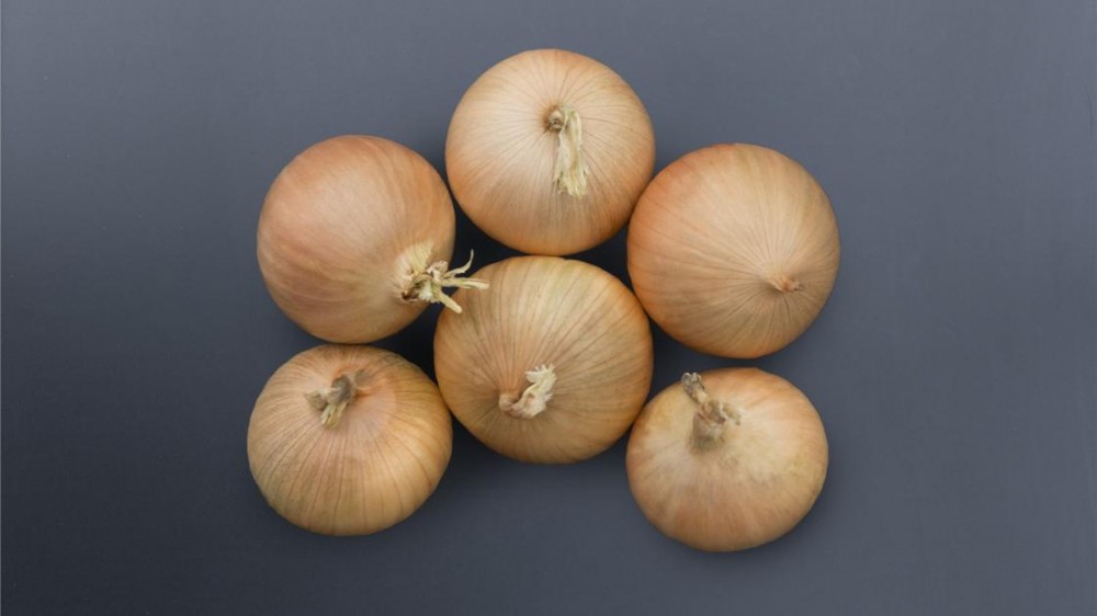 Бриджер F1 семена лука озимого 250 000 штук