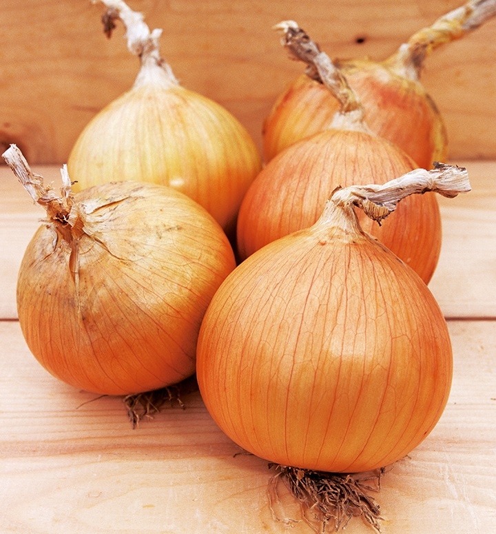 Вердон F1 лук репчатый 250 000 семян