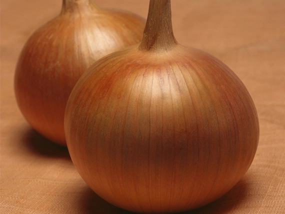 Бонус F1 лук репчатый 250 000 семян