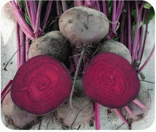 Игл F1 свекла 50 000 семян