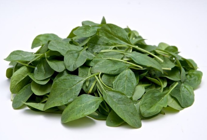 Гелиос F1 шпинат 50 000 семян